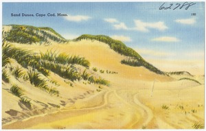 Sand dunes, Cape Cod, Mass.