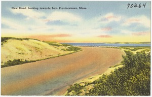 New road, looking towards bay, Provincetown, Mass.