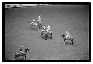 Gen. Needham polo