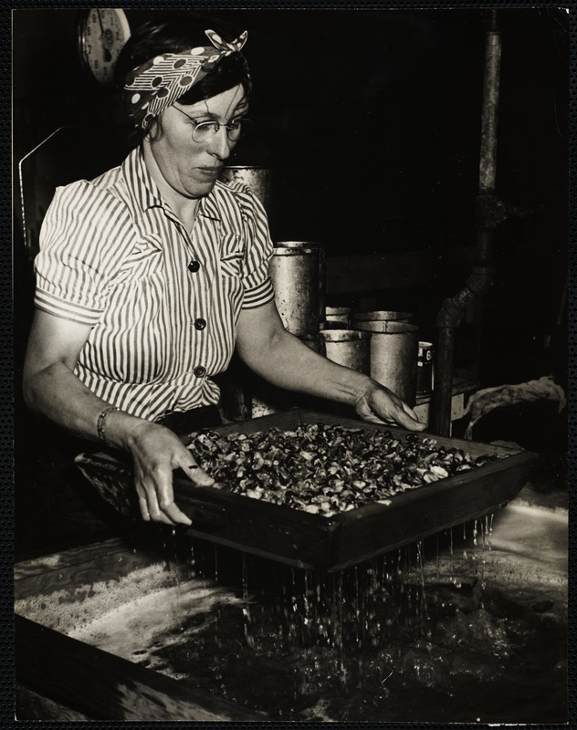 Thelma Hall working mussels in a suet solution.