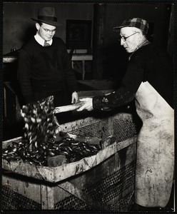 Mussels, washed and cleaned in a rotary washer, are shovelled into pans by Charles Barrett. Supervising is E. Robert Kinney, president of the North Atlantic Packing Company, Bar Harbor, Me., where all photos were taken.