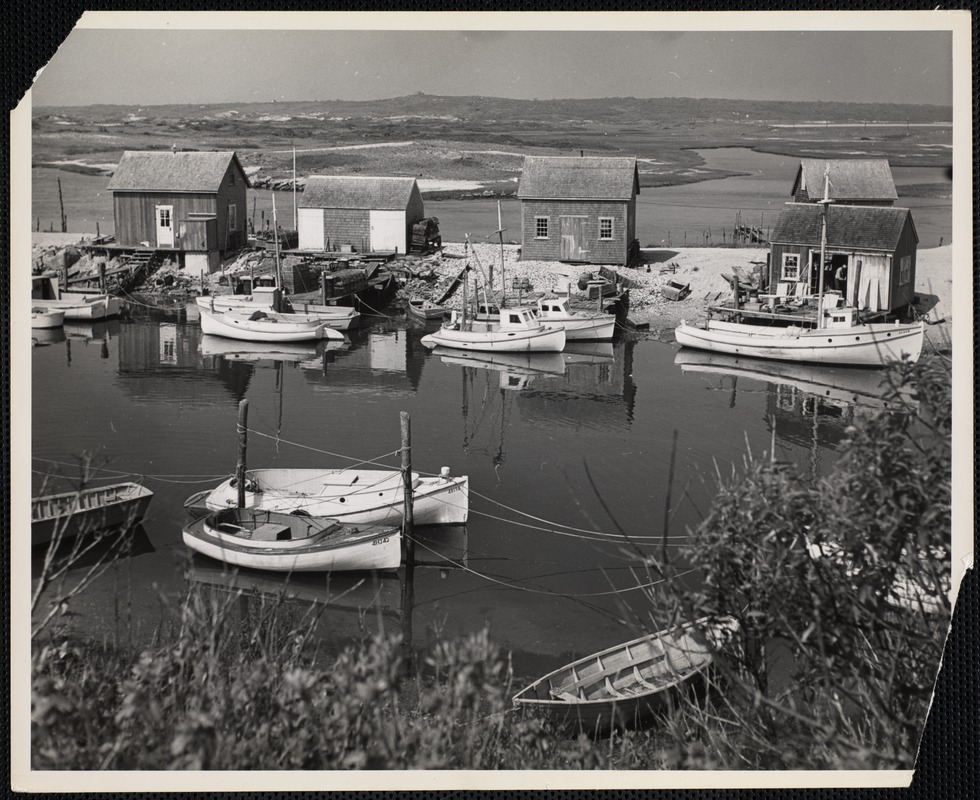 Menemsha Harbor, Martha's Vineyard