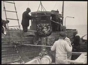 Maine sardine fishing