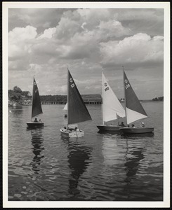 Turnabout Fleet Camden, Maine 1950s