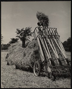 Massachusetts. Deerfoot Farms, Southborough, MA