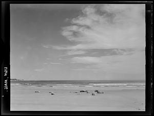 Lynn, beach scene