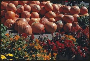 Pumpkins and flowers