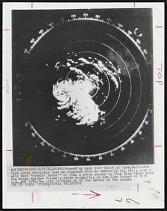 Depending upon your point of view, Hurricane Cleo looks variously like an elephant with an unusually big tail, like a wild West "buckin' bronc" or like a green shrimp in this view taken from the Miami Weather Bureau's radar scope. This is how Cleo looked at 3:15 p.m., EST 8/26. The city of Miami is at the center of the scope.