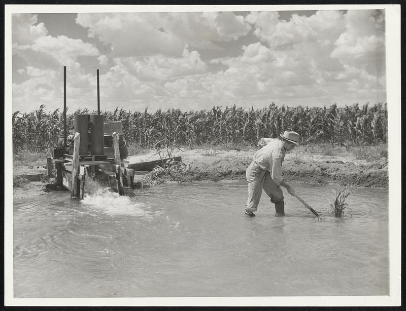 Flowing 'Gold' In The Dust Bowl. Joe Evans sunk two wells in his dust bowl farm near Hereford, Texas to get the water with chich to fight the drought. Here his son, Wayne, works in one of the pools created by the pumps which throw 2,000 gallons a minute to the surface. This water, and increased rains, make it possible for Evans to produce a crop on his 1,000 acres which, in 1932, virtually was a sea of shifting sand.