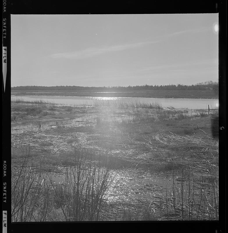 Newbury marshes - Digital Commonwealth