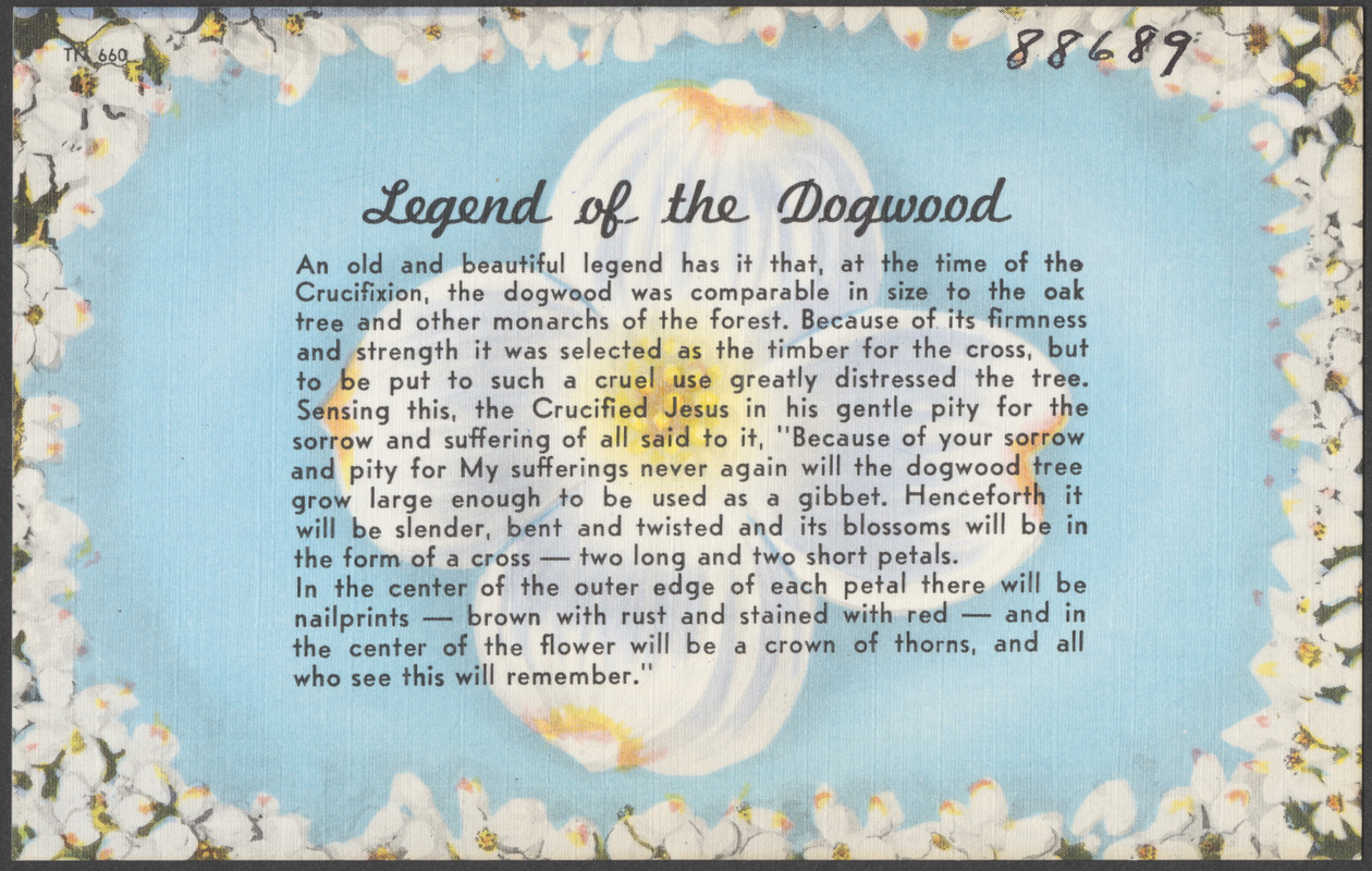 Legend of the dogwood