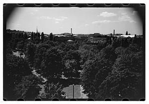 Black Forest and views from roof - Gertrude Sands