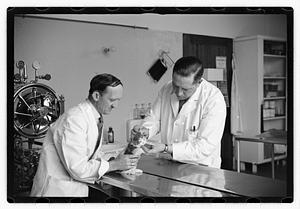 Dr. Dailey Angell Memorial Animal Hospital