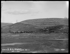 Wachusett Reservoir, stripping on the O'Brien farm, Section 6, Boylston, Mass., Nov. 14, 1900