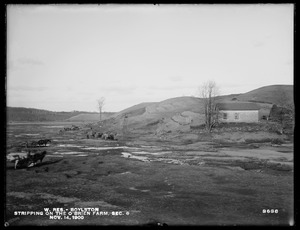 Wachusett Reservoir, stripping on the O'Brien farm, Section 6, Boylston, Mass., Nov. 14, 1900