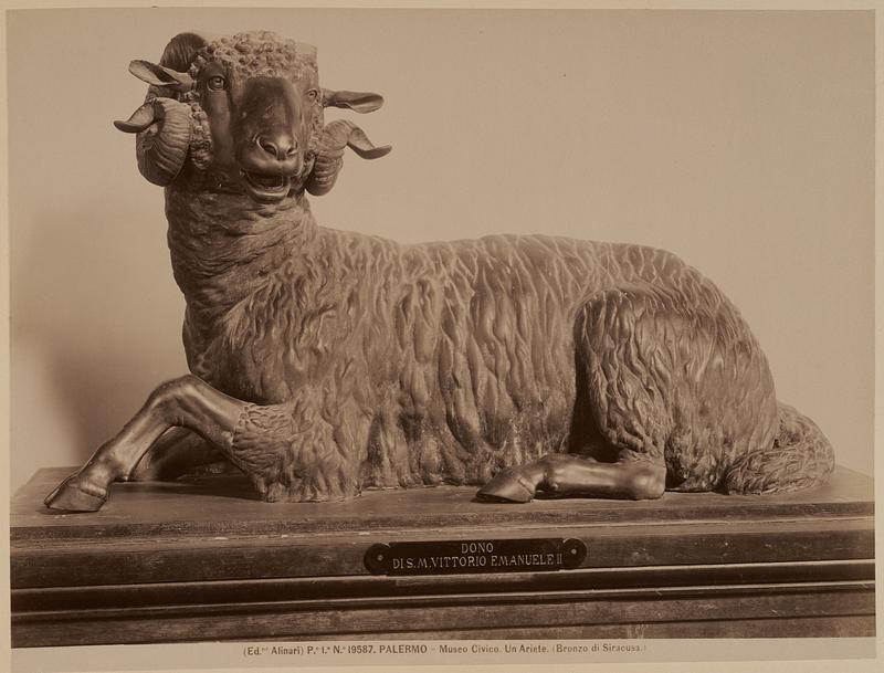 Palermo - Museo Civico. Un Ariete. (Bronzo di Siracusa)