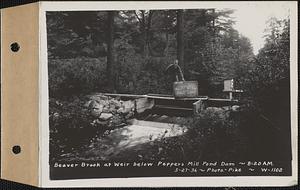 Beaver Brook at weir below Pepper's mill pond dam, Ware, Mass., 8:20 AM, May 27, 1936