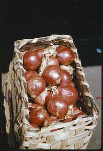 Onions