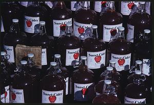 Rows of jugs of sweet cider