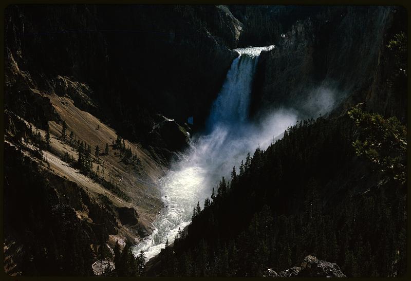 View of Lower Yellowstone Falls, Yellowstone National Park, Wyoming