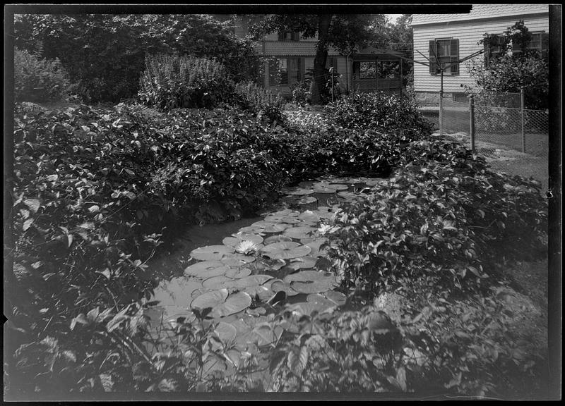 Water garden Digital Commonwealth