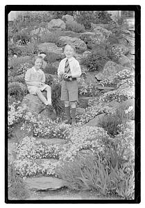Wiggins children
