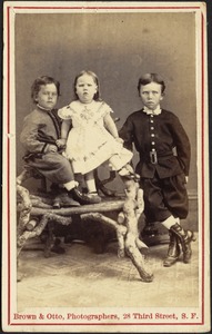 M. M. Willard, Cambridge, Mass.