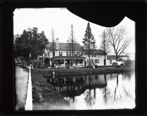 House beside a pond