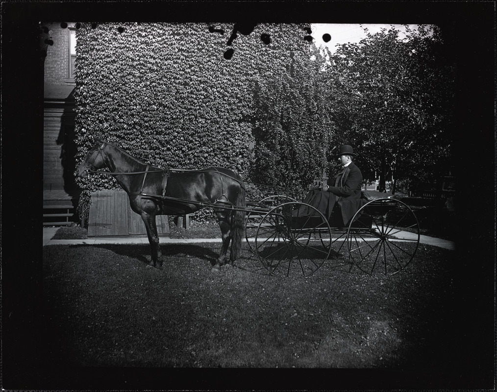 Man with horse and buggy near a building covered in vines