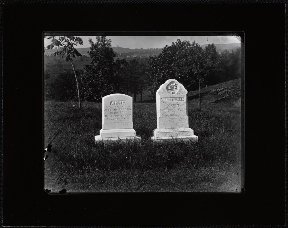 Forestdale Cemetery, Section K, Lot 451