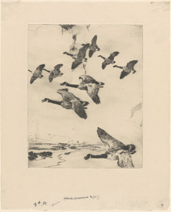Migrating geese