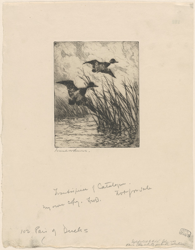 Pair of ducks