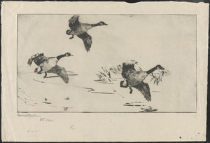 Three geese