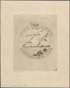 Seal, Essex County Ornithological Club