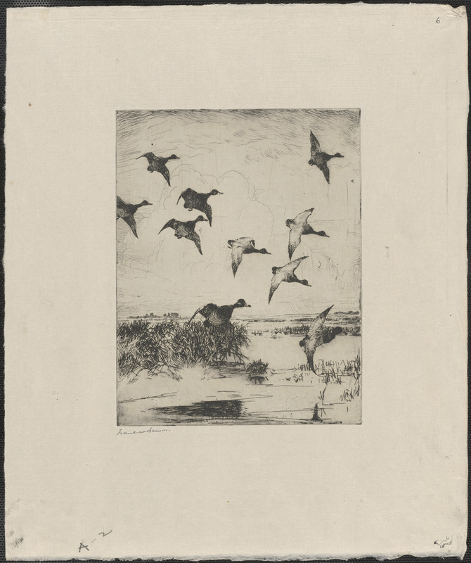 Flying ducks