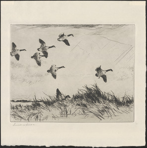 Geese over a marsh