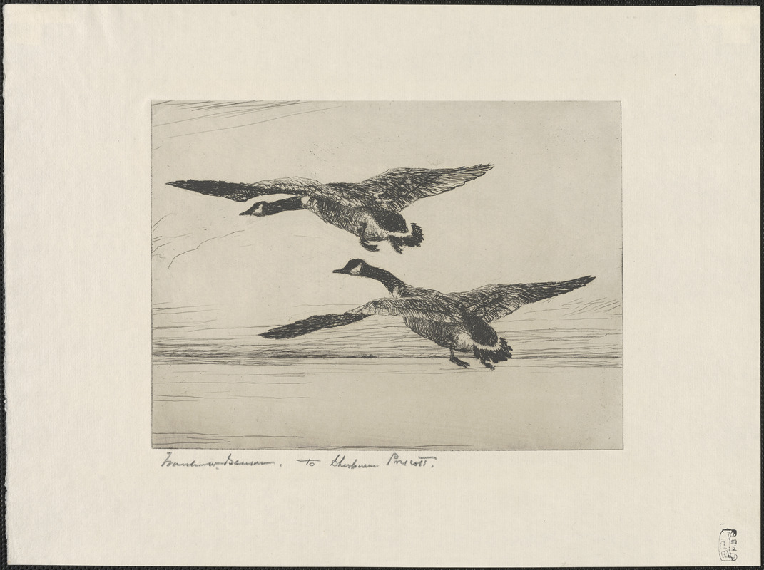 Two geese