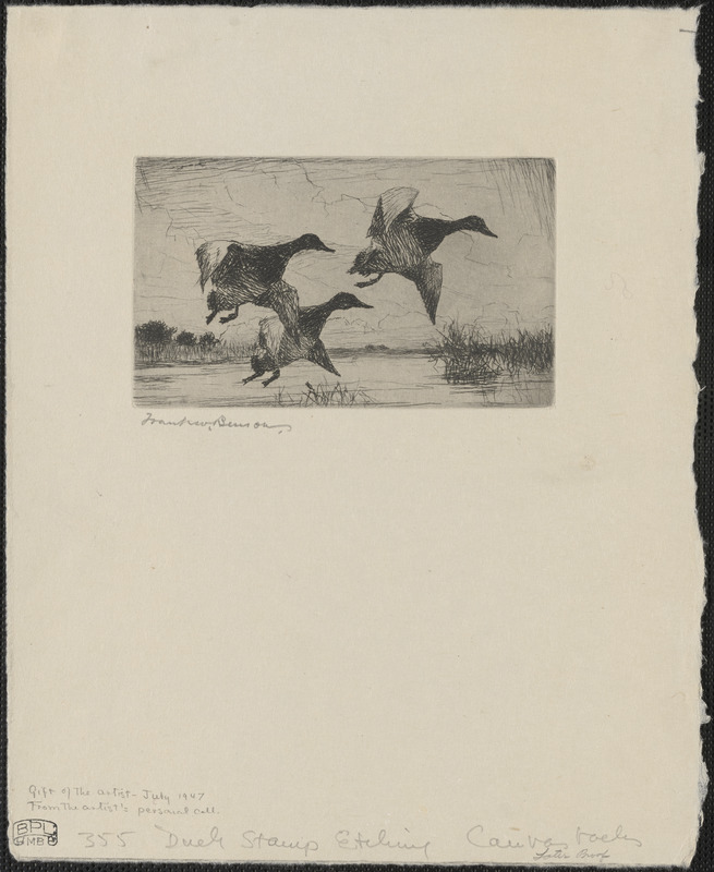 Duck stamp design