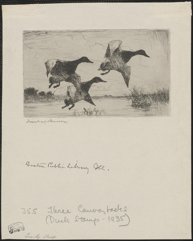 Duck stamp design