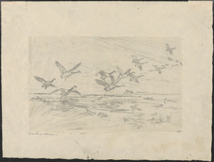 Drawing for "Wild Geese"