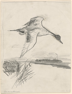 Souvenir at Long Point, 1918