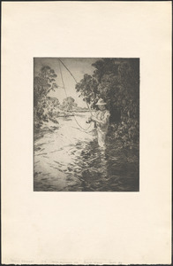 Trout stream