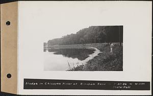 Sludge in Chicopee River at Bircham Bend, Chicopee and Springfield, Mass., Jul. 21, 1936