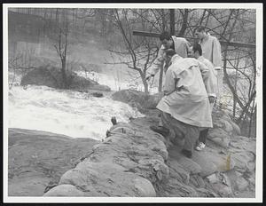 Newton flood