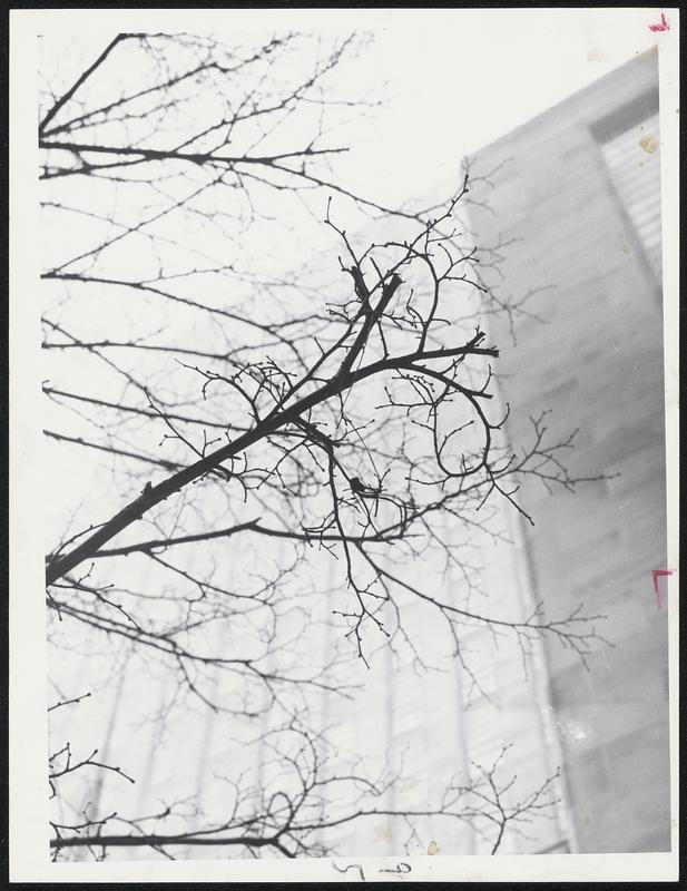 In front of John Hancock Building