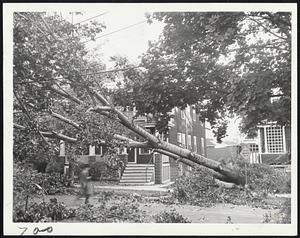 Arlington Uprooting -- On Highland avenue, Arlington, hurricane left this scene.