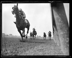 Horse race