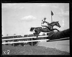 Horse jumping hedge on course