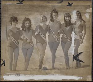 Miss USA beauties