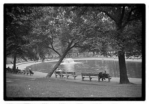 Frog Pond, Boston Common